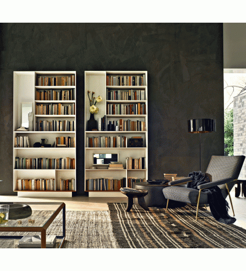 Molteni＆C. D.357.1简约书柜